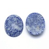 Natural Blue Spot Jasper Cabochons G-P393-I09-2