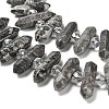 Natural Map Stone Double Terminated Point Beads Strands G-H069-B09-01-4