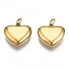 316 Surgical Stainless Steel Charms LS-STAS-N097-045-2