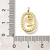 Brass Micro Pave Cubic Zirconia Pendants ZIRC-P123-01G-Z01-3