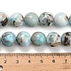 Natural Larimar Beads Strands G-L642-B19-12mm-5