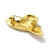 Fashion Golden Zinc Alloy Enamel Pins JEWB-D068-01G-01-2