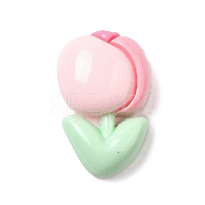 Opaque Resin Cabochons LS-RESI-C036-03D-1
