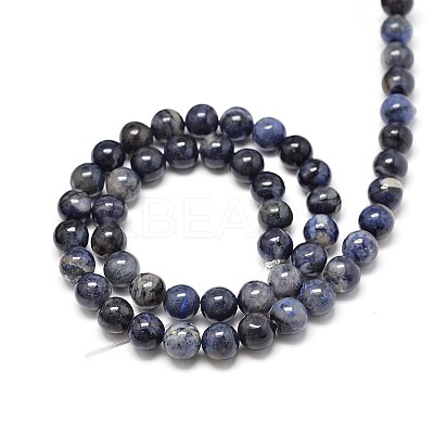 Natural Sodalite Round Beads Strands G-P075-07-8mm-1