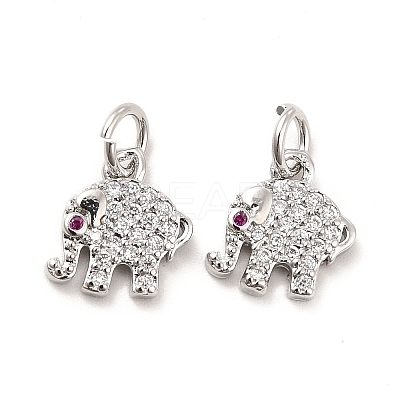 Rack Plating Brass Micro Pave Cubic Zirconia Charms KK-K270-17P-1