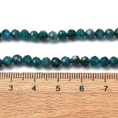 Natural Apatite Beads Strands G-A276-C08-4mm-02-1
