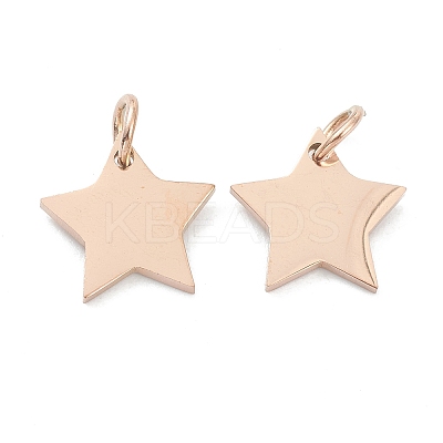 (Defective Closeout Sale: Scratches)304 Stainless Steel Charms LS-STAS-XCP0001-35-1