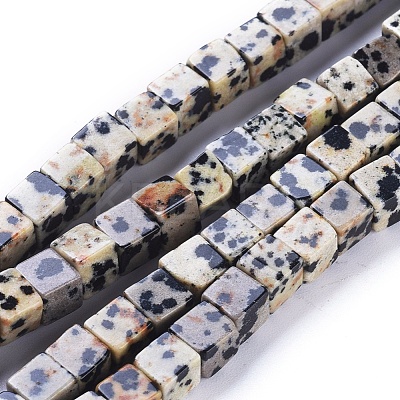 Natural Dalmatian Jasper Beads Strands G-D0020-14-1