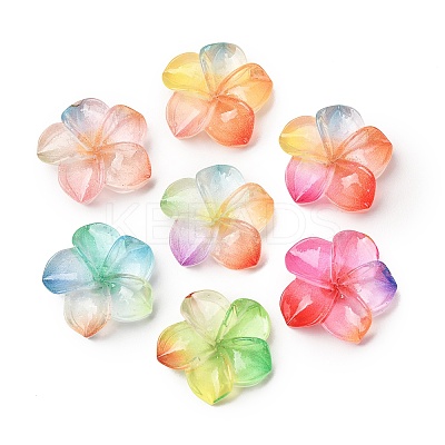 Multicolor Transparent Resin Cabochons RE-CBA0EC6-01-1