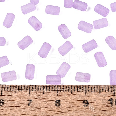 FGB Frosted Transparent Glass Seed Beads SEED-N013-05A-07-1