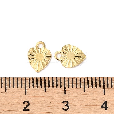 304 Stainless Steel Charms STAS-C080-03G-1