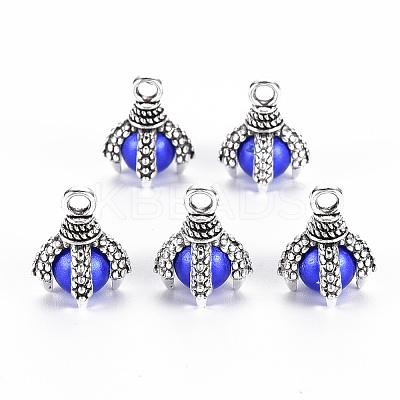 Tibetan Style Alloy Charms LS-PALLOY-S120-249E-RS-1