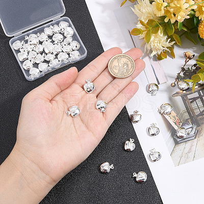 40Pcs Brass Charms KK-BBC0001-02-1