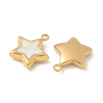 304 Stainless Steel Enamel Charms STAS-V015-37G-1