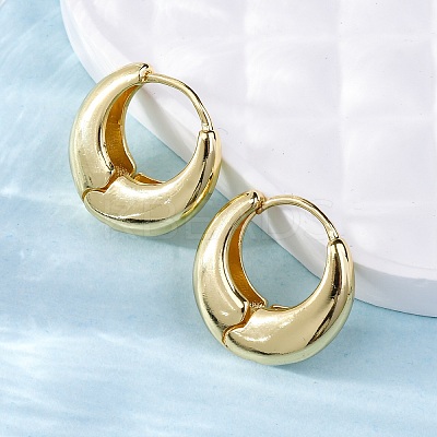 Rack Plating Brass Thick Hoop Earrings for Men Women LS-EJEW-F288-06G-1