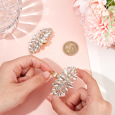 2Pcs Alloy Rhinestone Shoe Decorations FIND-CP0002-21-1