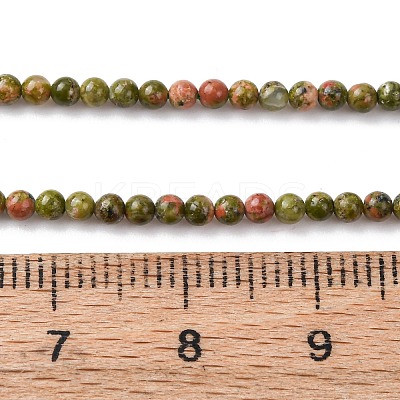 Natural Unakite Beads Strands G-Z116-A01-2mm-1