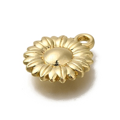 Alloy Pendants FIND-U023-01G-05-1