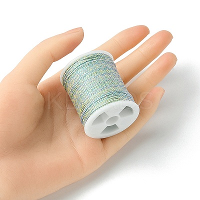 17M Rainbow Color Polyester Sewing Metallic Thread OCOR-E026-08C-1