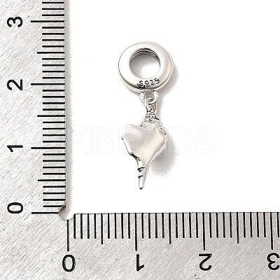 Anti-Tarnish 925 Sterling Silver European Dangle Charms STER-Z013-01P-1