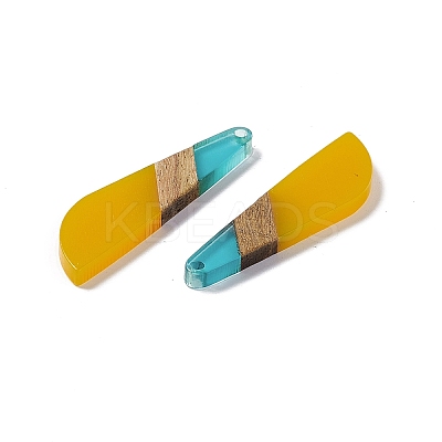 Transparent Resin & Walnut Wood Big Pendants RESI-M027-07F-1