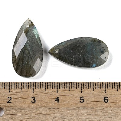 Natural Labradorite Pendants X-G-C140-05J-1