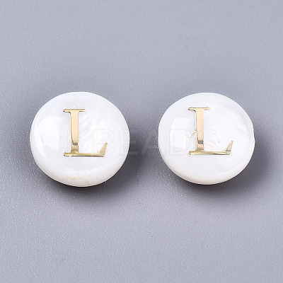 Natural Freshwater Shell Beads SHEL-S266-12L-1