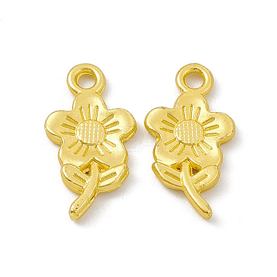 Rack Plating Alloy Pendants FIND-G045-48MG-1