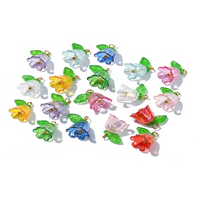 Acrylic Pendant PALLOY-YW027-01-1