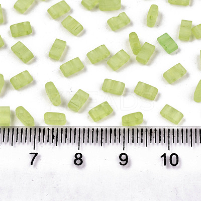 FGB 2-Hole Baking Paint Glass Seed Beads X-SEED-S031-M-SH1204FR-1