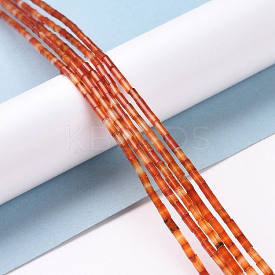 Natural Carnelian Beads Strands G-G783-23-1