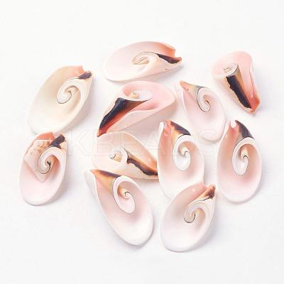 Natural Freshwater Shell Beads BSHE-L036-29-1