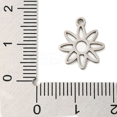 Non-Tarnish 304 Stainless Steel Charms STAS-S123-01P-10-1