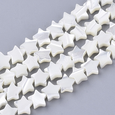 Natural Trochid Shell/Trochus Shell Beads Strands SHEL-T013-007A-01-1