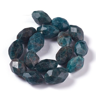 Faceted Natural Apatite Beads Strands G-H242-03-1