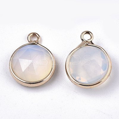 Opalite Charms G-N326-49G-1