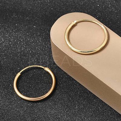Brass Hoop Earrings EJEW-G474-01G-03-1