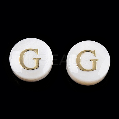 Natural Freshwater Shell Beads SHEL-N036-01G-1