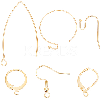 60Pcs 6 Style 304 Stainless Steel & Brass Earring Findings DIY-BBC0001-79-1