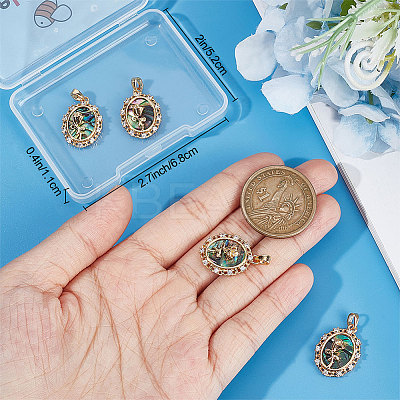 5Pcs Natural Abalone Shell/Paua Shell Pendants KK-BBC0007-62-1