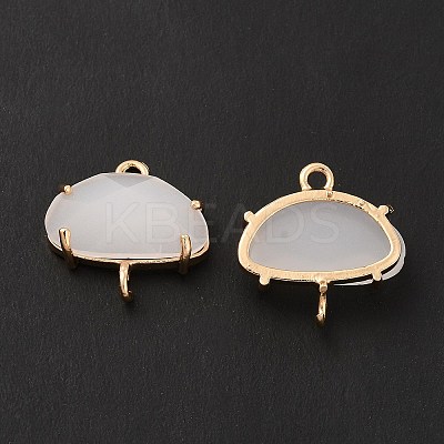 K9 Glass Connector Charms KK-E071-24KCG-03-1
