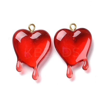 Transparent Resin Pendants RESI-F028-01-1