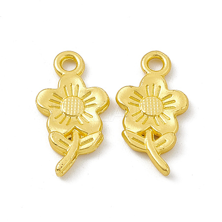 Rack Plating Alloy Pendants FIND-G045-48MG-1