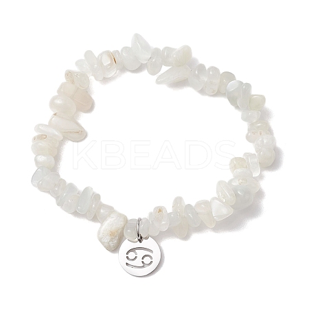 Natural White Moonstone Stretch Bracelets BJEW-JB11147-04-1