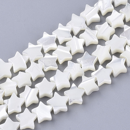 Natural Trochid Shell/Trochus Shell Beads Strands SHEL-T013-007A-01-1