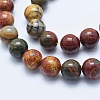 Natural Polychrome Jasper/Picasso Stone/Picasso Jasper Beads Strands G-E444-43-10mm-2