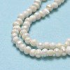 Natural Cultured Freshwater Pearl Beads Strands PEAR-F018-12-4