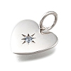 925 Sterling Silver Micro Pave Clear Cubic Zirconia Charms STER-V001-01P-12-2