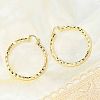 Brass Hoop Earrings EJEW-B117-06E-G-3