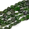 Natural Green Diopside Beads Strands G-G464-A01-02-2